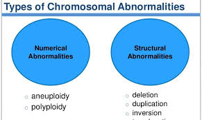Chromosomal mutation-chromosomal aberration (structural mutation) and  genomatic mutation (numerical aberration) - Online Biology Notes