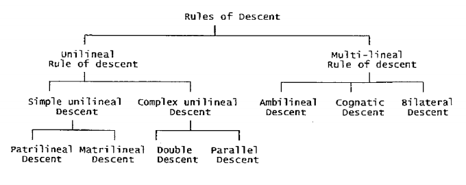 This image has an empty alt attribute; its file name is Descent-rules.png
