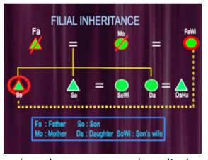 Anthropology of Preferential Marriages