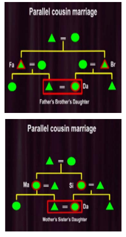 Anthropology of Preferential Marriages