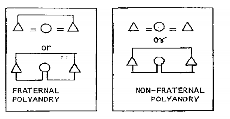 polyandry in human societies

