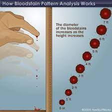 Basics of Blood - Properties of Blood | HowStuffWorks