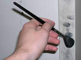 Fingerprint - Wikiwand
