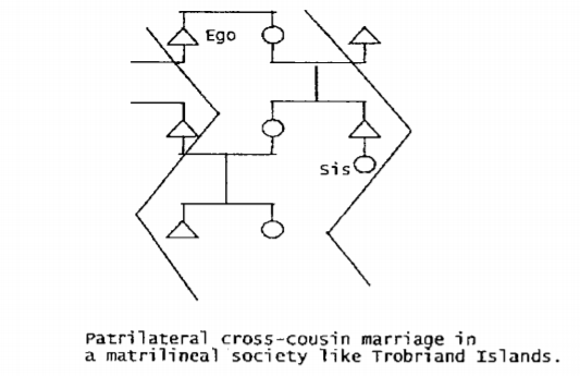 Cross-Cousin Marriages
