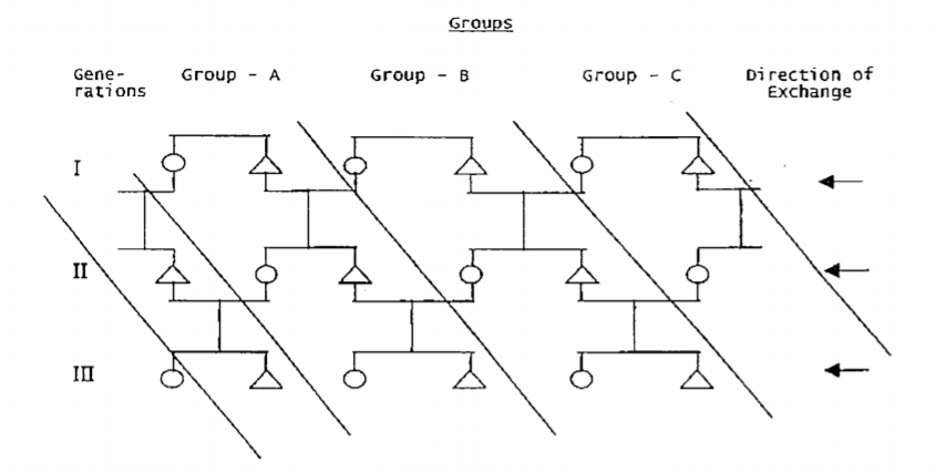Cross-Cousin Marriages