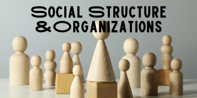  Social Structure and Organizations