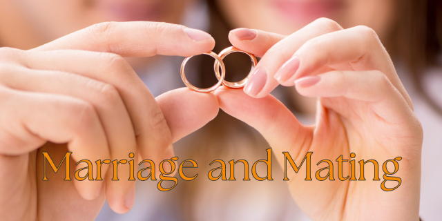 Marriage vs Mating