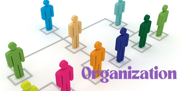Organizations in Anthropology