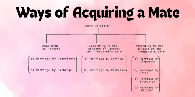 ways of acquiring a mate