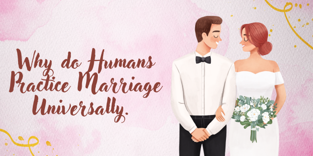 Anthropology of Marriage